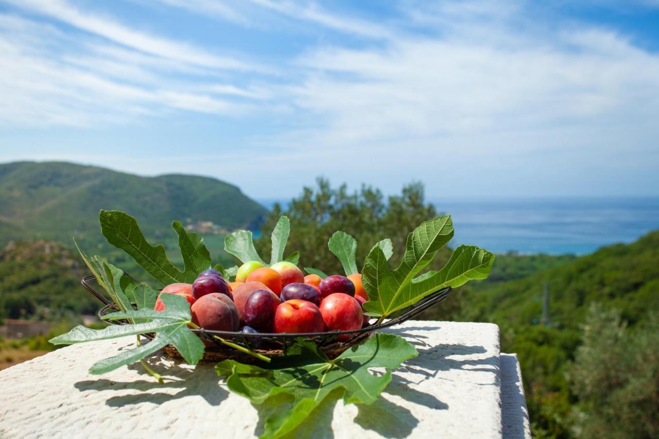 Apartment Eco Village Buljarica