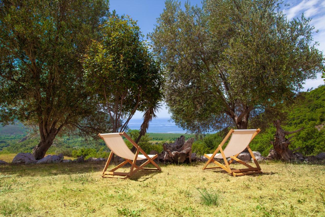 Eco Village Buljarica Budva
